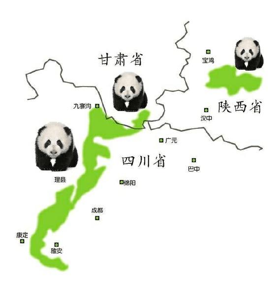 9月29日,2019中国(四川)大熊猫国际生态旅游节开幕.