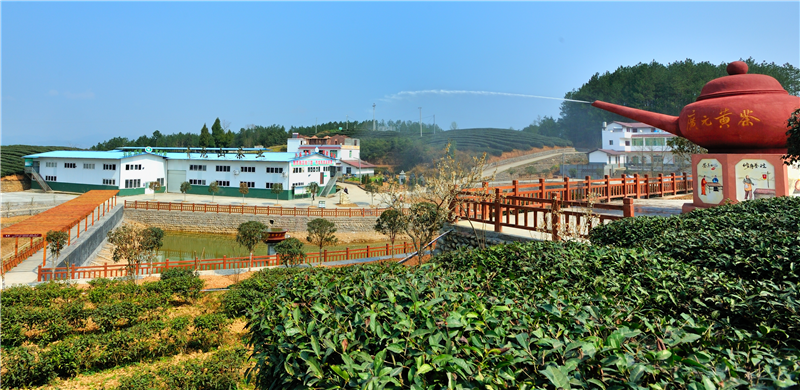 旺苍县用科技创新推动茶产业转型升级