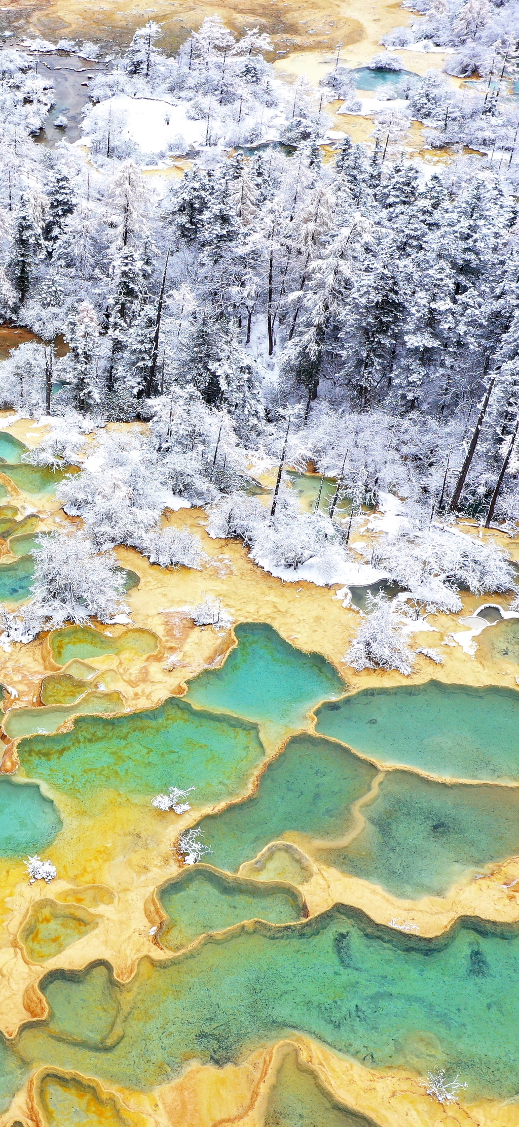 美图暴击雪中黄龙景区如仙境看钙华池与白雪融合之美