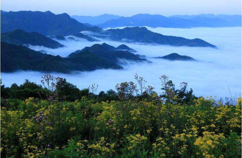 青川县全力打造成渝双城经济圈"生态康养后花园"