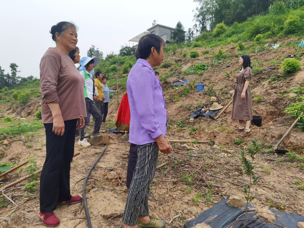 王红（右一）在泸县得胜镇油茶基地开展用工动员