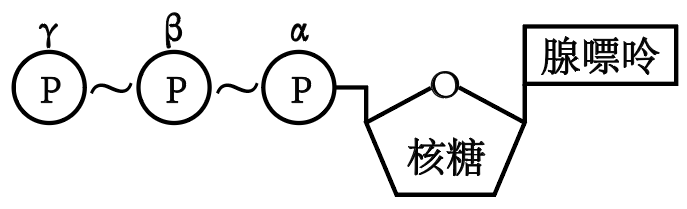 学科网(www.zxxk.com)--教育资源门户，提供试卷、教案、课件、论文、素材以及各类教学资源下载，还有大量而丰富的教学相关资讯！