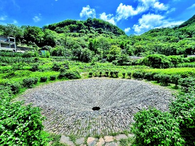 大地艺术，点亮秀美乡村