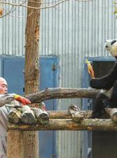 20250105四川日报图片