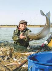  20250127四川日报图片