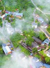  20250205四川日报图片