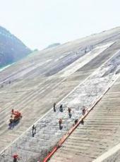  20250408四川日报图片