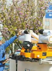  20250411四川日报图片