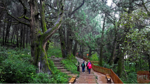 318期-四川要闻2025年第1期（1月1日－20日）1049