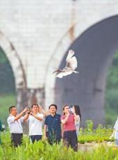 20250523四川日报图片