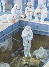  20250603四川日报图片