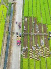 20250606四川日报图片