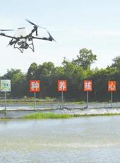  20250724四川日报图片