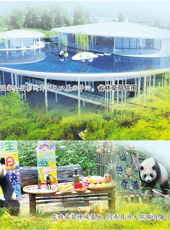  20250819四川日报图片