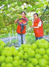  20250820四川日报图片