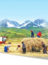  20250829四川日报图片