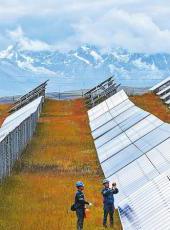 20250831四川日报图片