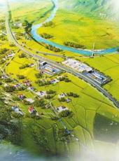  20250911四川日报图片