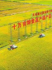  20250915四川日报图片