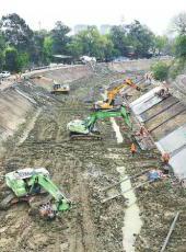  20251114四川日报图片