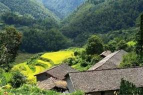 【饮食文化】一桌九品 乡愁满溢‖戴耕泓 