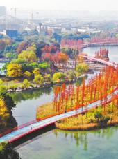  20251204四川日报图片