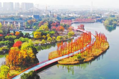  20251204四川日报图片