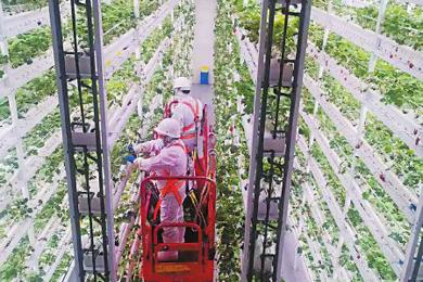  20251215四川日报图片