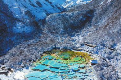 20260107四川日报图片