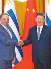  20260204四川日报图片