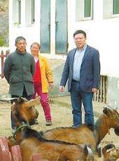  20260228四川日报图片