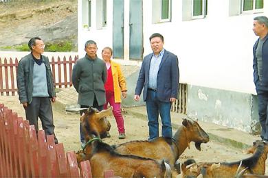  20260228四川日报图片