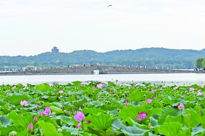 暑期景区“预约难”问题如何解