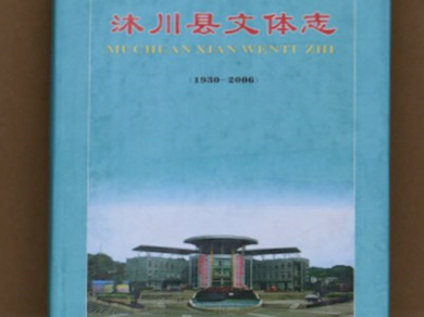 《沐川县文体志（1930-2006）》