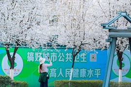 云赏花丨走进雅安最美公交车站 邂逅春暖花开